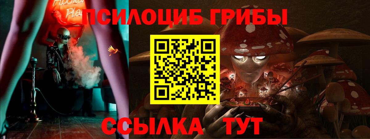 Галлюциногенные грибы MAGIC MUSHROOMS  Вход с VPN  Анжеро-Судженск  Псилоцибиновые грибы ЛСД 